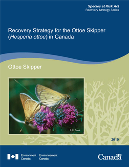 Ottoe Skipper (Hesperia Ottoe) in Canada