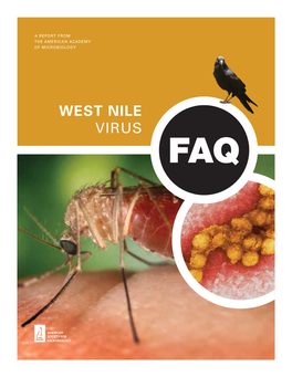 WEST NILE VIRUS ABOUT ASM Faqs STEERING COMMITTEE: Nicholas Komar, S.D