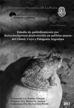 Estudio De Quitridiomicosis Por Batrachochytrium Dendrobatidis En Anfibios Anuros Del Litoral, Cuyo Y Patagonia Argentina