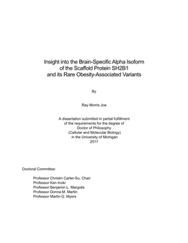 Insight Into the Brain-Specific Alpha Isoform of the Scaffold Protein SH2B1 and Its Rare Obesity-Associated Variants