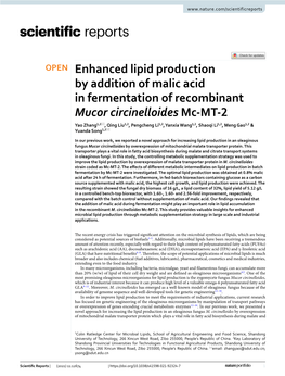 Enhanced Lipid Production by Addition of Malic Acid in Fermentation Of