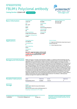 FBLIM1 Polyclonal Antibody