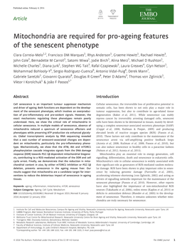 Mitochondria Are Required for Pro‐Ageing Features of the Senescent Phenotype