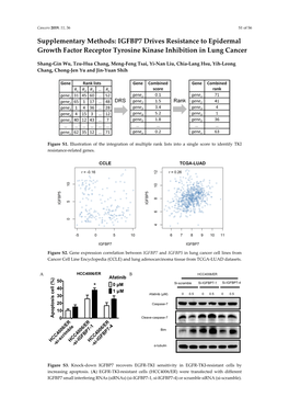 IGFBP7 Drives Resistance to Epidermal Growth Factor Receptor Tyrosine Kinase Inhibition in Lung Cancer