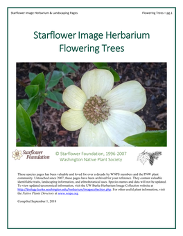 Starflowerimage Herbarium Flowering Trees