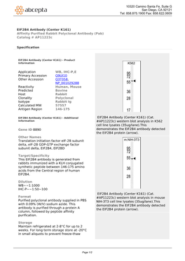 EIF2B4 Antibody (Center K161) Affinity Purified Rabbit Polyclonal Antibody (Pab) Catalog # Ap11223c