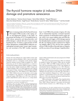 The Thyroid Hormone Receptor Induces DNA Damage and Premature