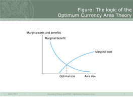 The Logic of the Optimum Currency Area Theory