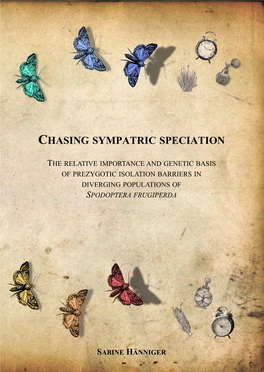 Chasing Sympatric Speciation