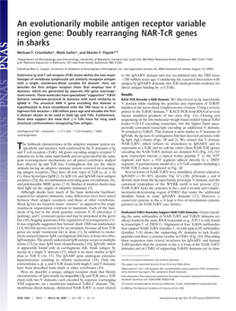 Doubly Rearranging NAR-Tcr Genes in Sharks