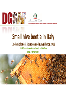 Small Hive Beetle in Italy