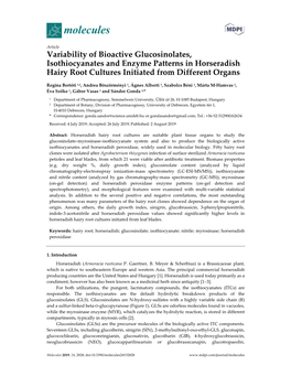 Variability of Bioactive Glucosinolates, Isothiocyanates and Enzyme Patterns in Horseradish Hairy Root Cultures Initiated from Different Organs