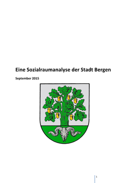 Eine Sozialraumanalyse Der Stadt Bergen