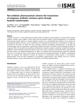 Non-Antibiotic Pharmaceuticals Enhance the Transmission of Exogenous Antibiotic Resistance Genes Through Bacterial Transformation