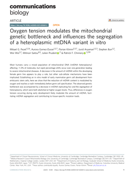 Oxygen Tension Modulates the Mitochondrial Genetic Bottleneck and Inﬂuences the Segregation of a Heteroplasmic Mtdna Variant in Vitro