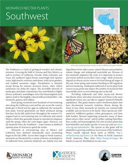 Monarch Nectar Plants of the Southwest