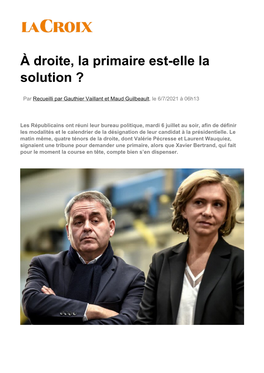 À Droite, La Primaire Est-Elle La Solution ?