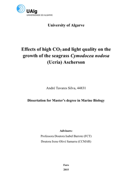 Effects of High CO2 and Light Quality on the Growth of the Seagrass Cymodocea Nodosa (Ucria) Ascherson