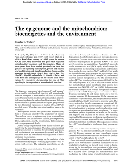 The Epigenome and the Mitochondrion: Bioenergetics and the Environment