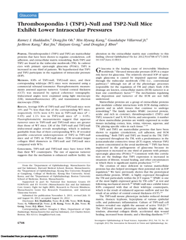 (TSP1)–Null and TSP2-Null Mice Exhibit Lower Intraocular Pressures