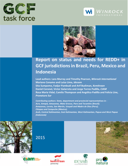 Report on Status and Needs for REDD+ in GCF Jurisdictions in Brazil, Peru, Mexico and Indonesia