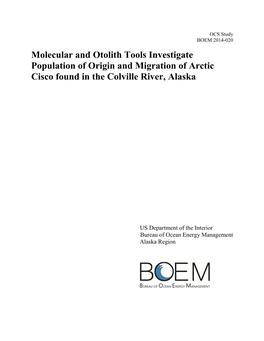 Molecular and Otolith Tools Investigate Population of Origin and Migration of Arctic Cisco Found in the Colville River, Alaska