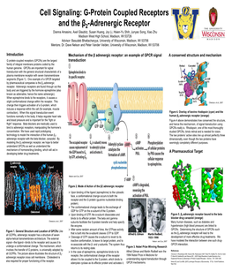 Cell Signaling: G-Protein Coupled Receptors and the Β