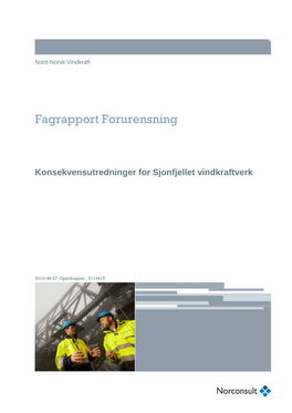 Fagrapport Forurensning