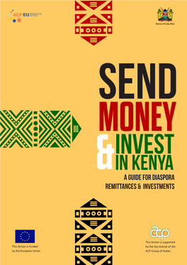 A Guide for Diaspora Remittances & Investments