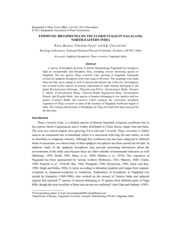 Epiphytic Bryophytes on Thuja Orientalis in Nagaland, North-Eastern India