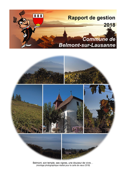 Rapport De Gestion 2018 Commune De Belmont-Sur-Lausanne