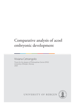 Comparative Analysis of Acoel Embryonic Development