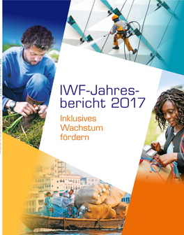 IWF-Jahres- Bericht 2017