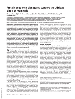 Protein Sequence Signatures Support the African Clade of Mammals