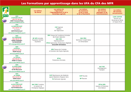 Les Formations Par Apprentissage Dans Les UFA Du CFA Des MFR