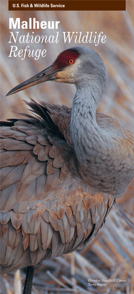 Malheur National Wildlife Refuge