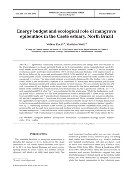 Energy Budget and Ecological Role of Mangrove Epibenthos in the Caeté Estuary, North Brazil