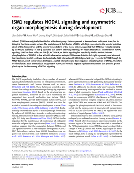 ISM1 Regulates NODAL Signaling and Asymmetric Organ Morphogenesis During Development