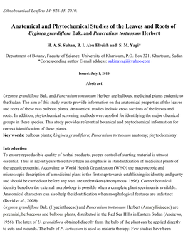 Anatomical and Phytochemical Studies of the Leaves and Roots of Urginea Grandiflora Bak