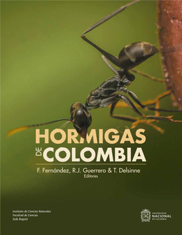 Hormigas De Colombia F