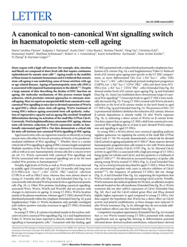 A Canonical to Non-Canonical Wnt Signalling Switch in Haematopoietic Stem-Cell Ageing