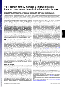 Mutation Induces Spontaneous Intestinal Inflammation in Mice