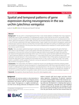 Spatial and Temporal Patterns of Gene Expression During Neurogenesis in the Sea Urchin Lytechinus Variegatus Leslie A