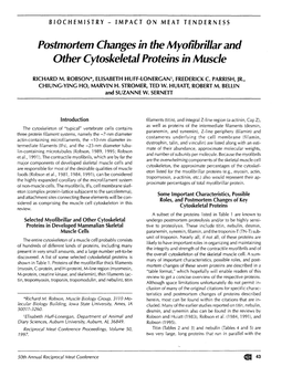 Postmortem Changes in the Myofibrillar and Other Cytoskeletal Proteins in Muscle