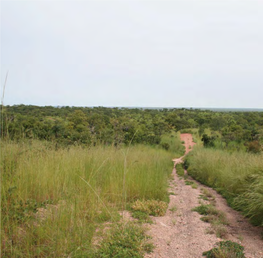 Biodiversité Au Burkina Faso 8 Biodiversity Conservation Strate- Gies in Burkina Faso