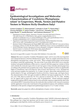 Epidemiological Investigations and Molecular Characterization Of