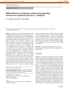 Differentiation in Morphology and Flowering Phenology