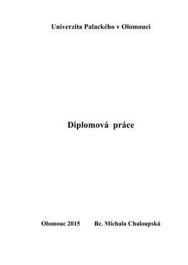 Diplomová Práce