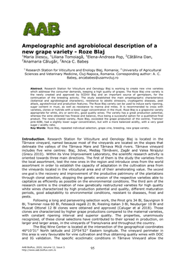 Ampelographic and Agrobiolocal Description of a New Grape Variety