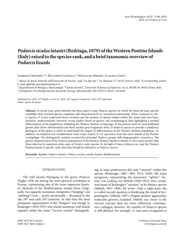 Podarcis Siculus Latastei (Bedriaga, 1879) of the Western Pontine Islands (Italy) Raised to the Species Rank, and a Brief Taxonomic Overview of Podarcis Lizards